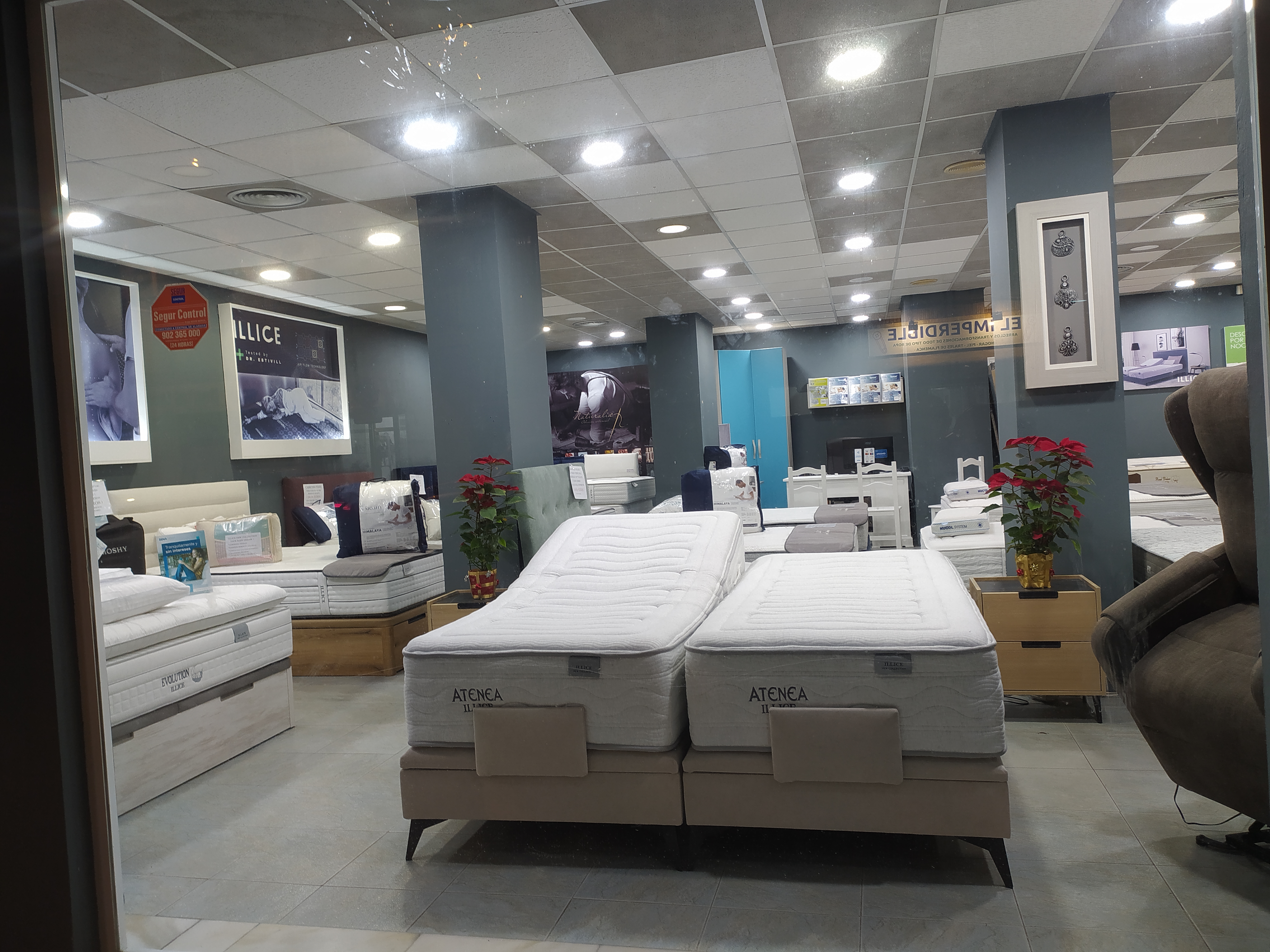 Cama articulada Atenea